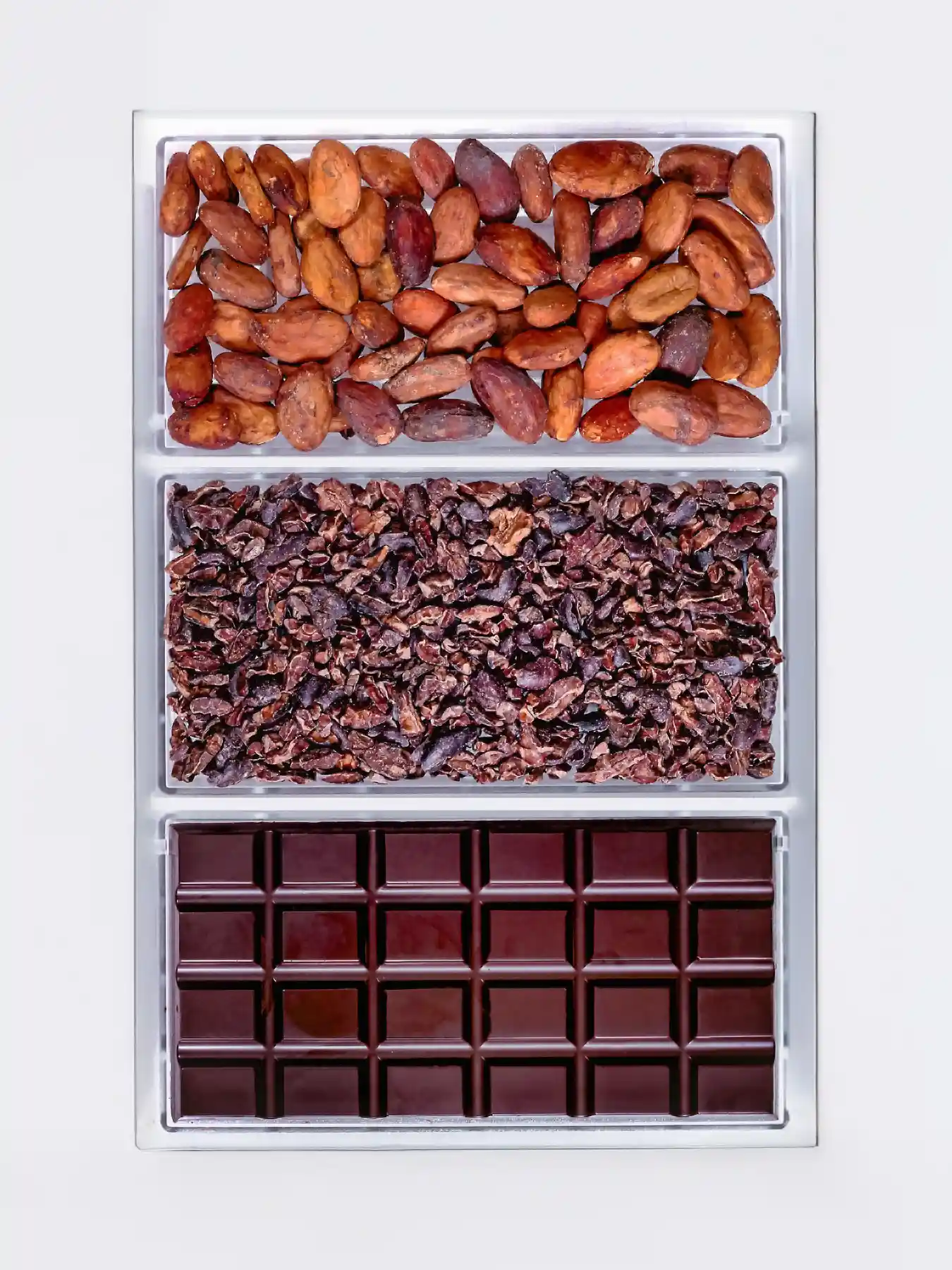bean to bar chocolate