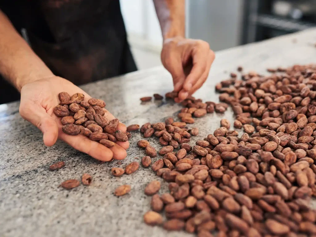 Single Origin Cocoa Beans being sorted. At MAyHawk we sort through the cocoa beans at the start of the bean-to-bar processes.