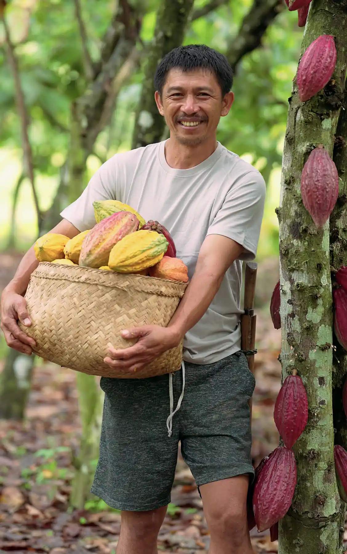man holding basket of cacao pods